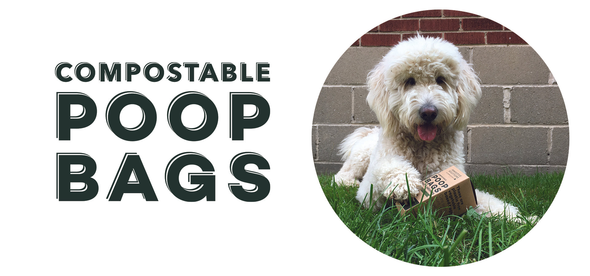 Compostable Dog Poop Bags | Los Angeles, CA | Giving Paws